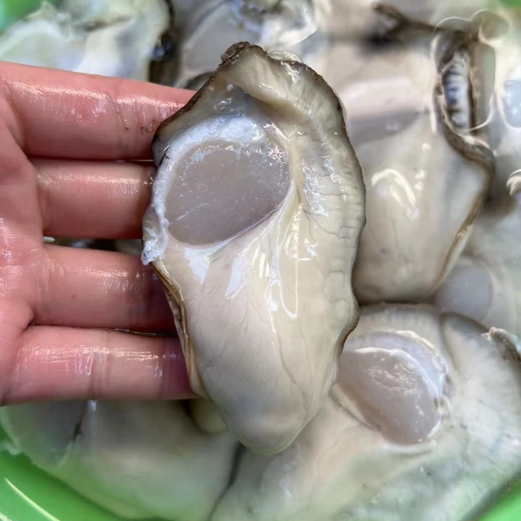 大脆蚝肉现剥生蚝纯肉广东顺丰2斤包邮牡蛎海蛎肉新鲜生蚝肉火锅
