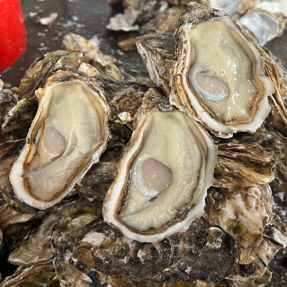 小洁阿姨临时改价大脆蚝肉现剥生蚝纯肉广东省内2斤顺丰包邮大脆