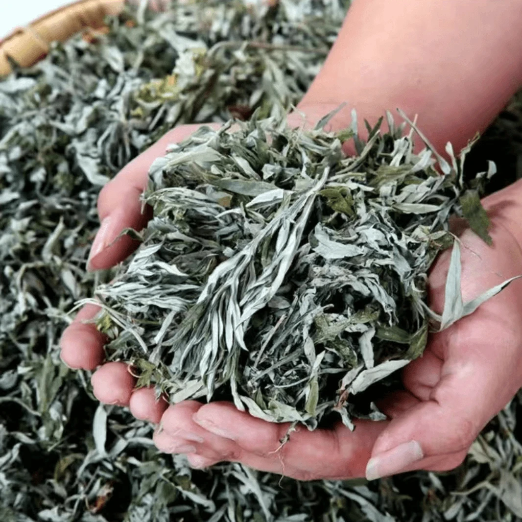 艾草正宗野生艾叶干艾草家用泡澡足浴剂男女通用手脚凉泡脚包艾叶