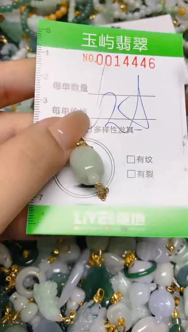 【闪购商品】翡翠颈饰未镶嵌闪购0014446