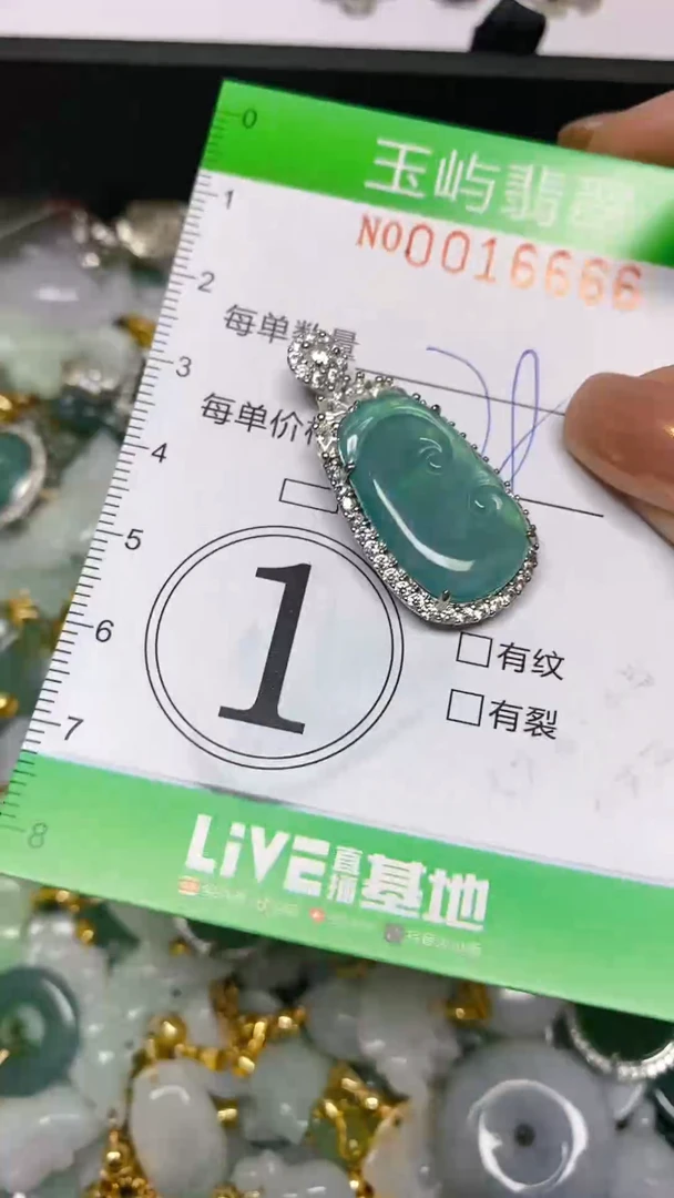 【闪购商品】翡翠颈饰未镶嵌闪购0016666