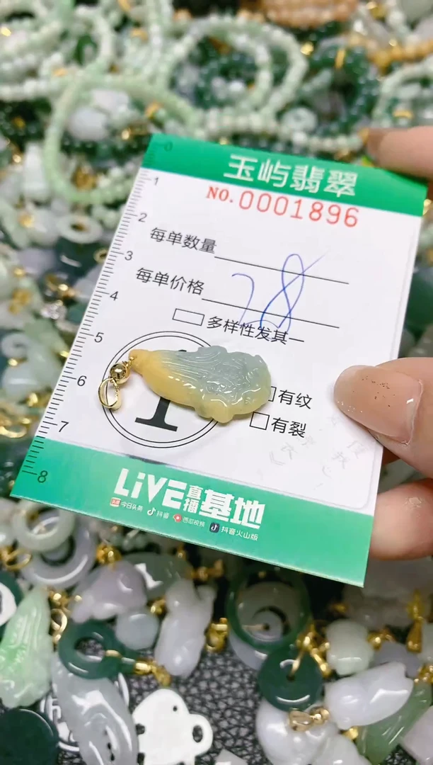 【闪购商品】翡翠颈饰未镶嵌闪购0001896