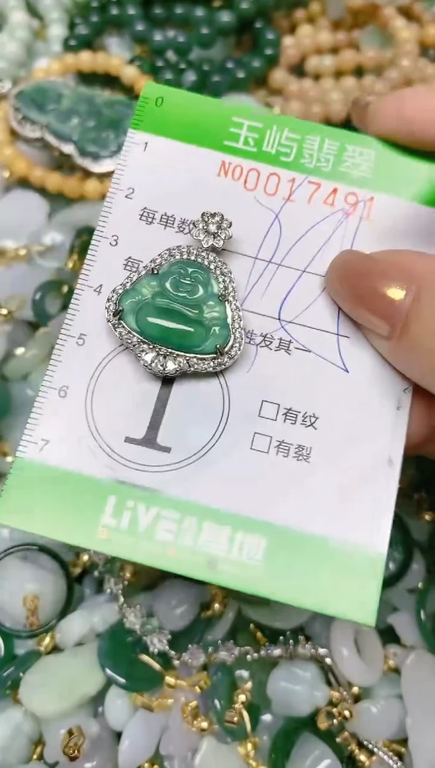 【闪购商品】翡翠颈饰未镶嵌闪购0017491