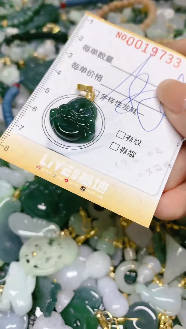 【闪购商品】翡翠颈饰未镶嵌闪购0019733多样性发其一