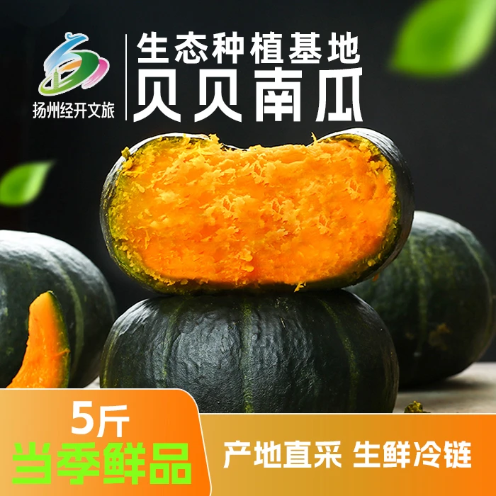 正宗板栗贝贝南瓜粉糯香甜板栗味现摘现发迷你小南瓜