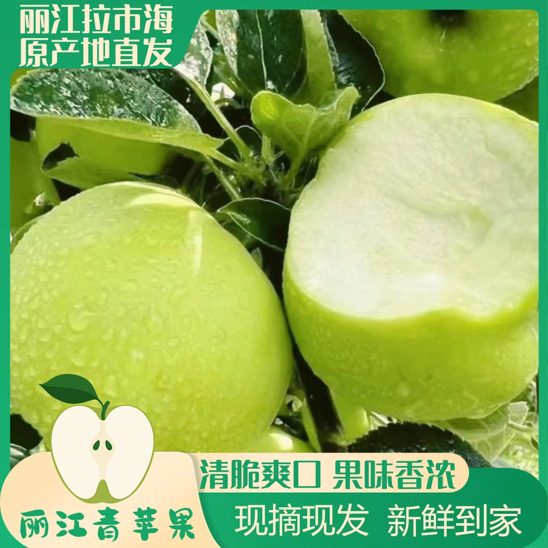 云南丽江高原青苹果鲜脆水果当季拉市海丑苹果带箱5/10斤现摘现发