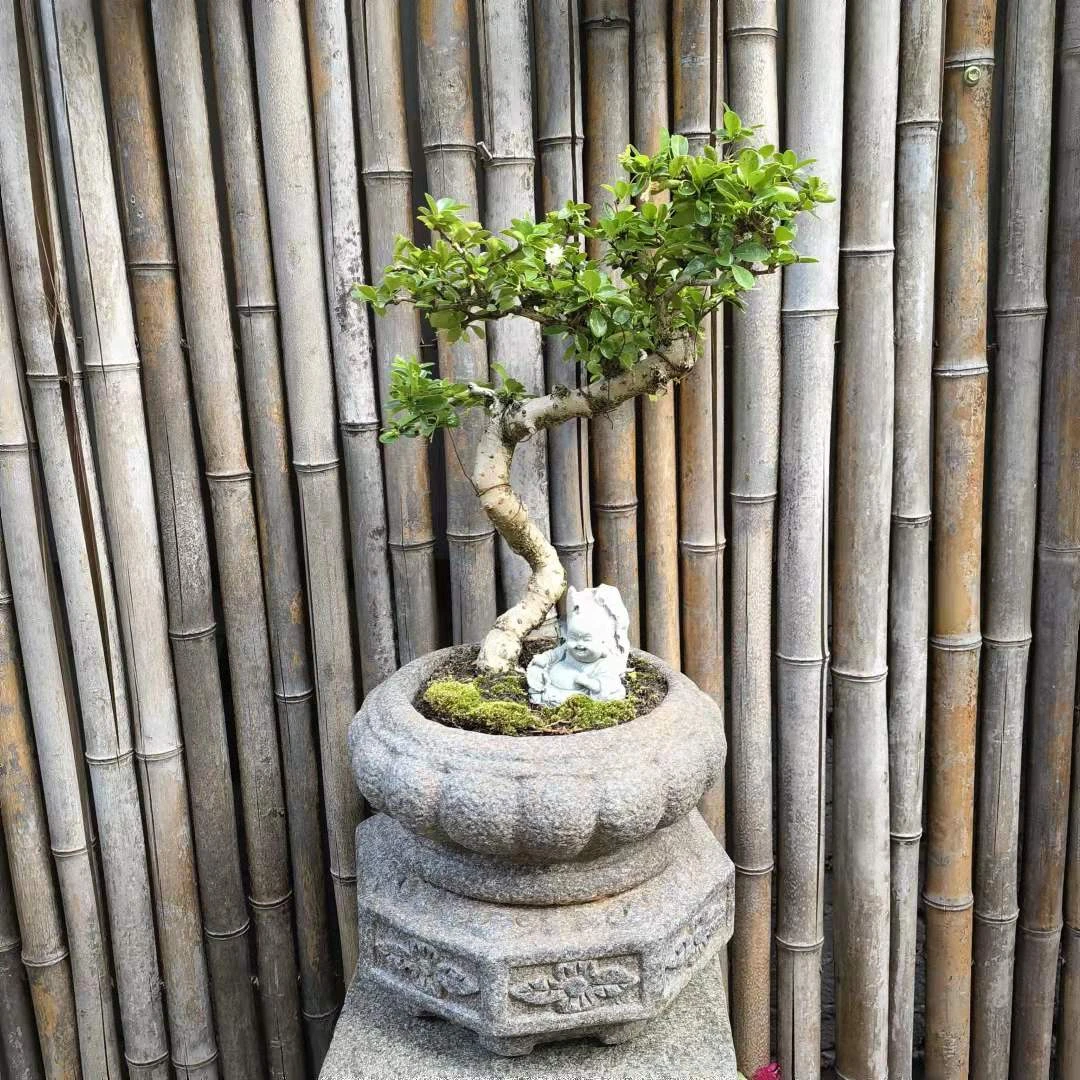 庭院花园阳台禅意花器一体盏装饰摆件