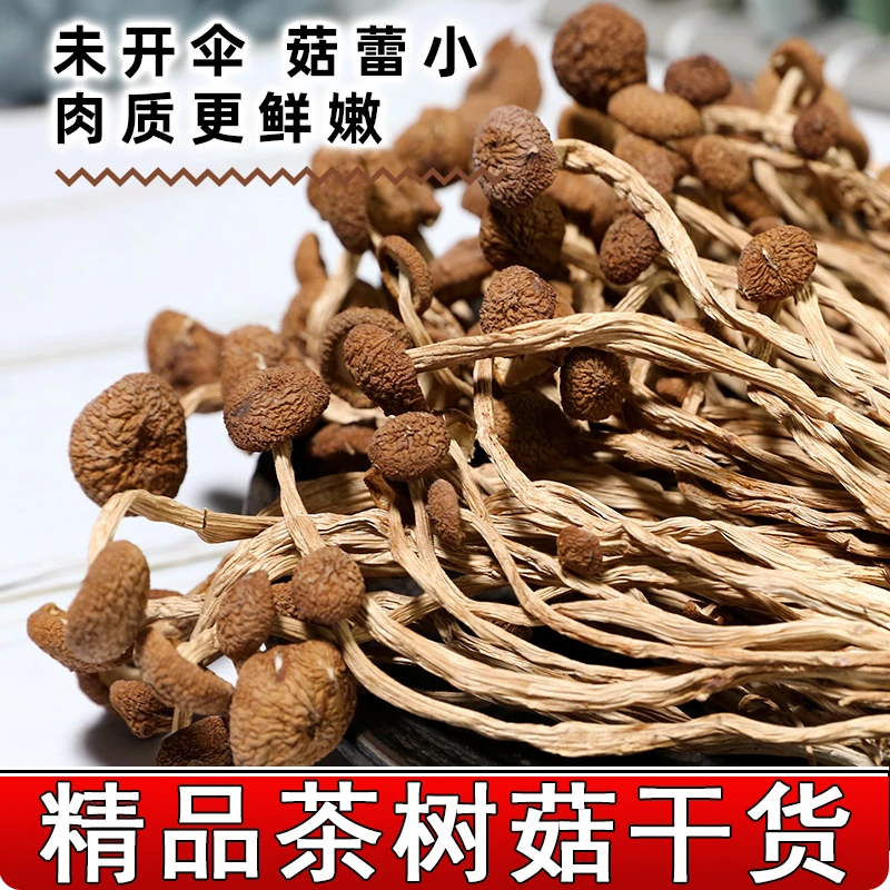 精品茶树菇烘干香菇蘑菇不开伞茶树菇煲汤材料无硫鲜嫩茶树菇散装