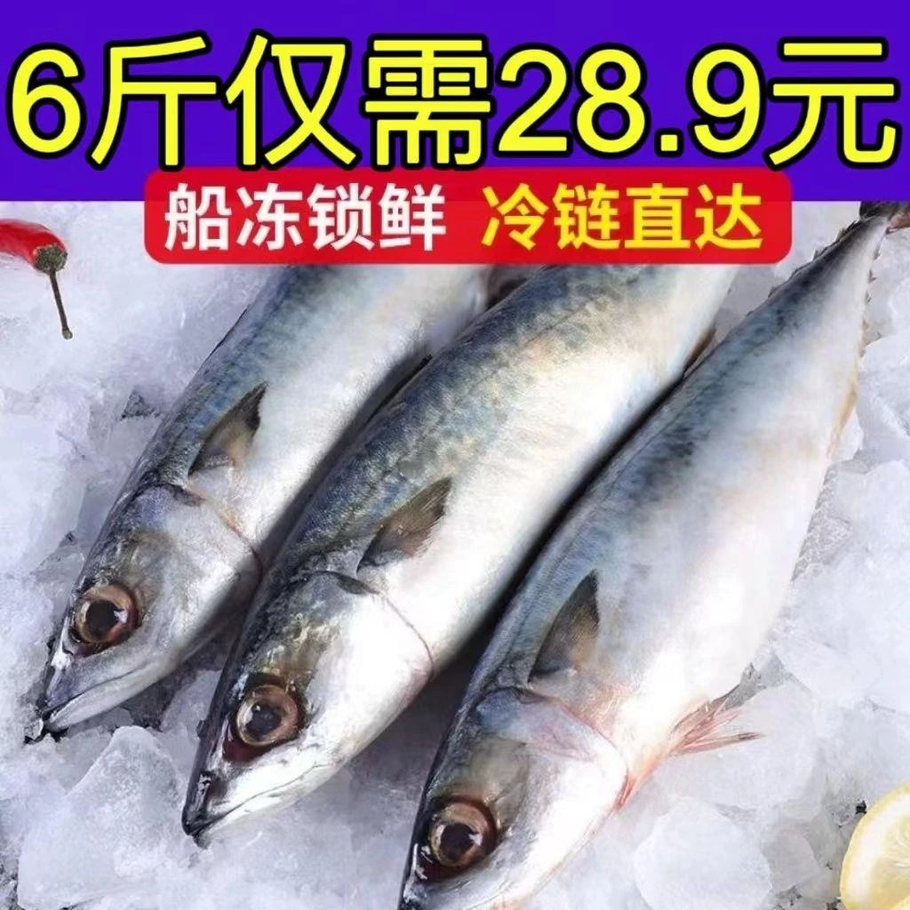 【新鲜速运】鲐鲅鱼青占鱼新鲜鲅鱼青鱼新鲜大青花鱼新鲜批发海鲜