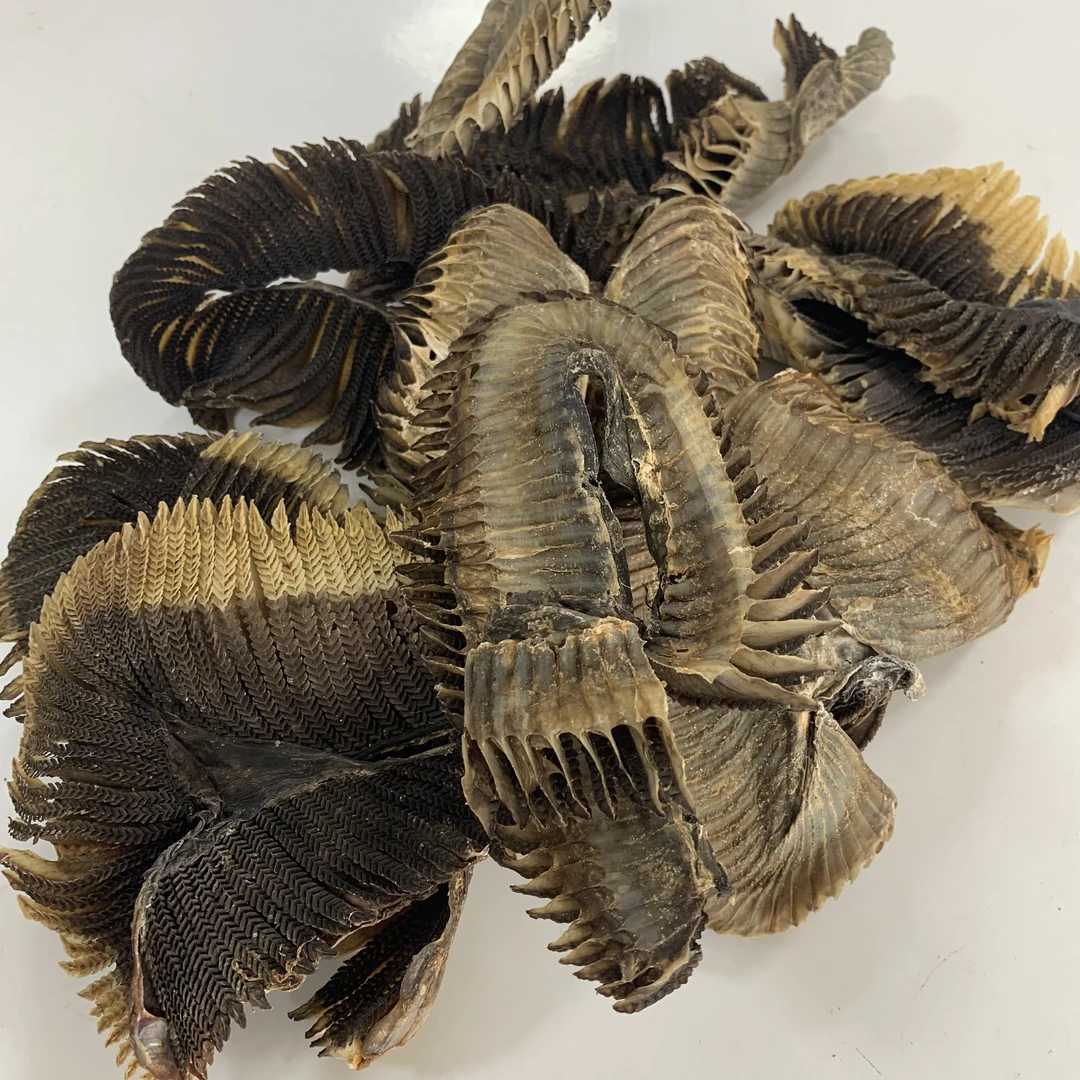 【翠姐精选】彭鱼鳃 渔民生晒无添加 秋季适合汤水 干货 海产品