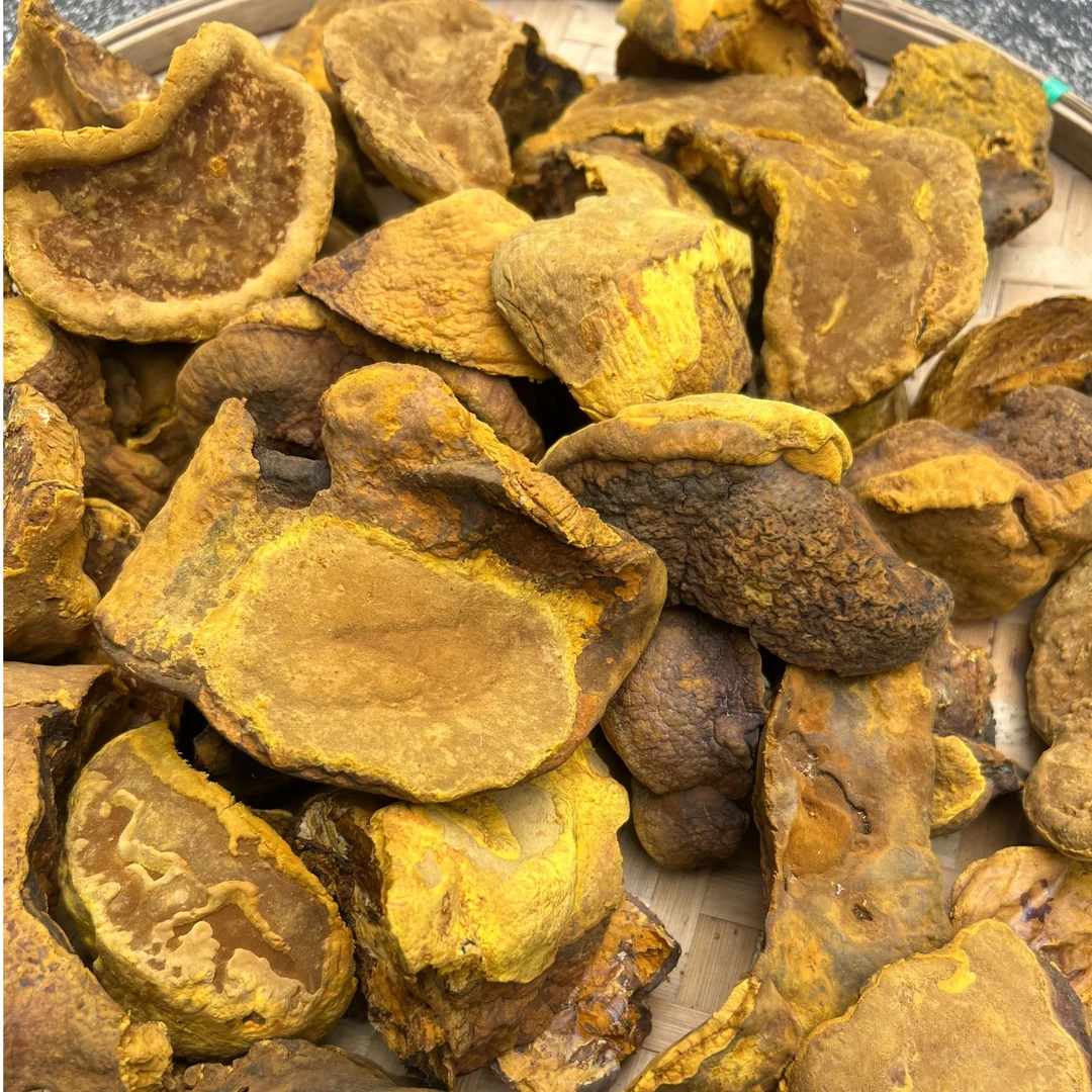 1【金-边-桑-黄】净含量250g-1000g【小田现收】菌