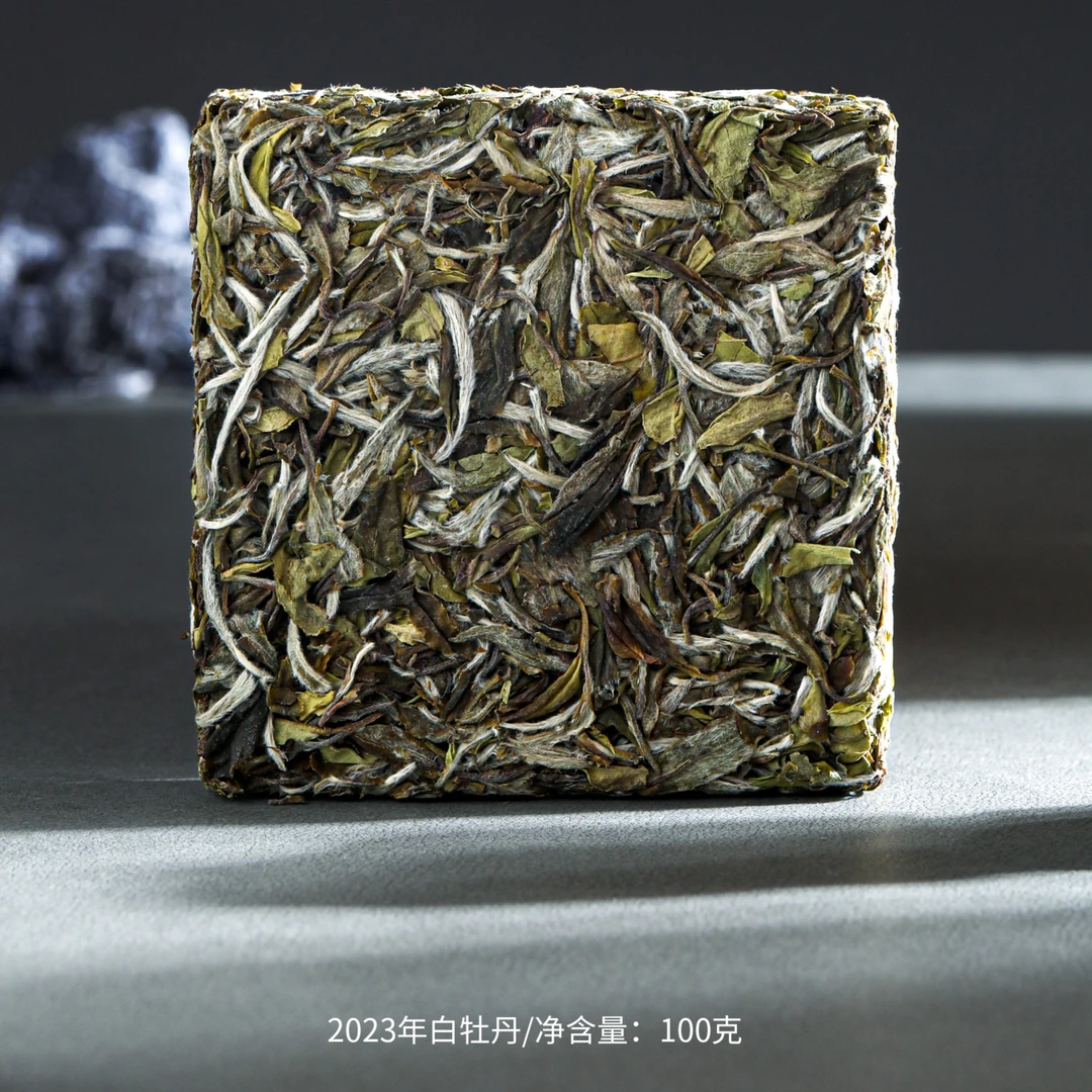 叶芽泉一方天地2023年白牡丹100克福鼎白茶松压白牡丹