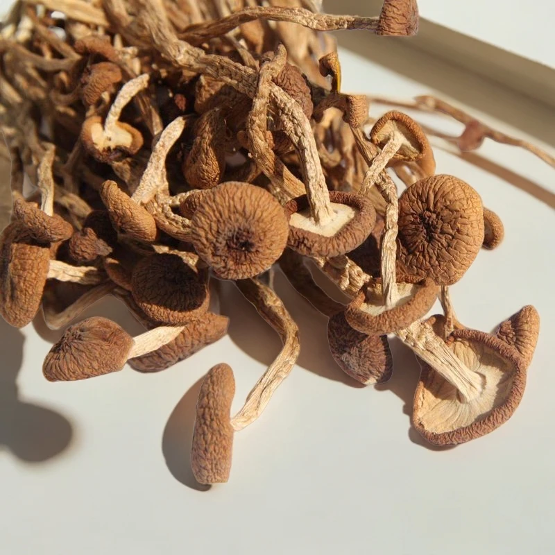 【无托盘和干燥剂】净重茶树【冰菇】不开伞2024新鲜干货煲汤无硫菌菇