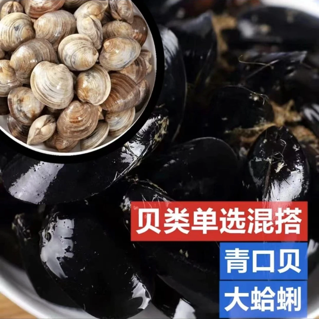 【贝类套餐】3斤青口贝(不是小海虹）+3斤大蛤蜊混搭  连云港发货