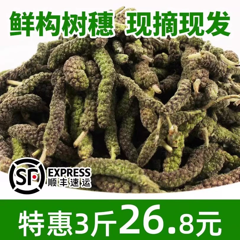 新鲜构树穗野菜食材现摘现发应季楮树花构树棒