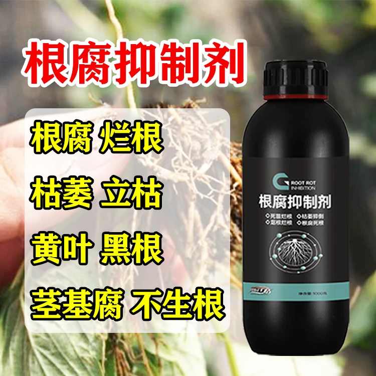 根腐抑制剂农作物根腐烂根黑根立枯死棵专用甲霜恶霉灵生根壮苗剂