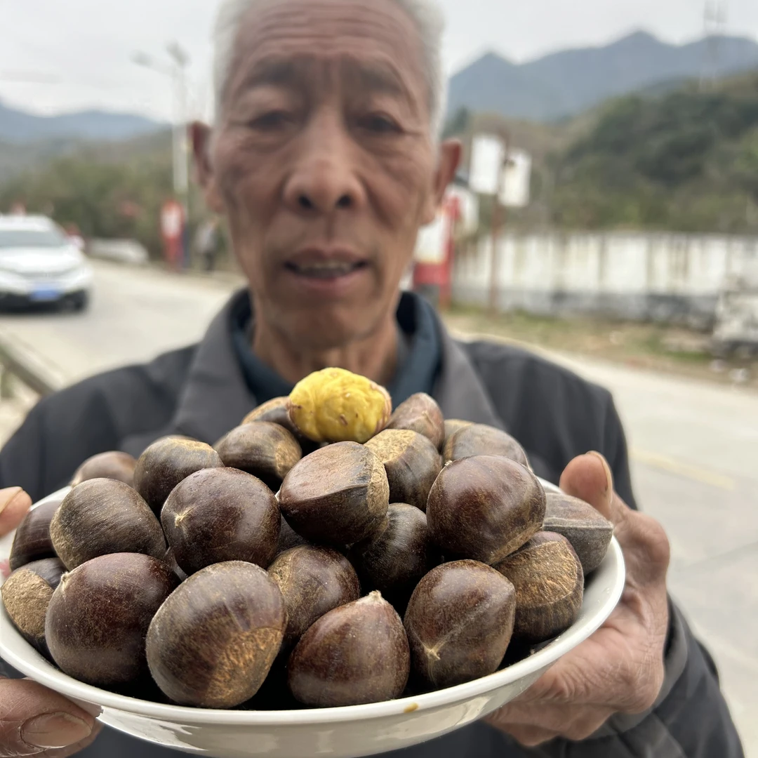 2025正宗河北迁西板栗新鲜板栗油板栗坏果包赔