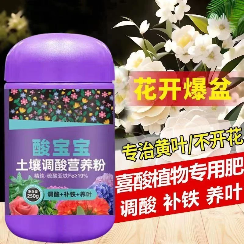 酸宝宝硫酸亚铁懒人花肥喜酸植物防黄叶土壤调酸专用水溶肥料花园