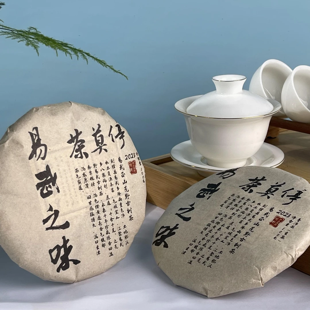 茶莫停·2023年 易武之味 普洱茶（生茶）100g