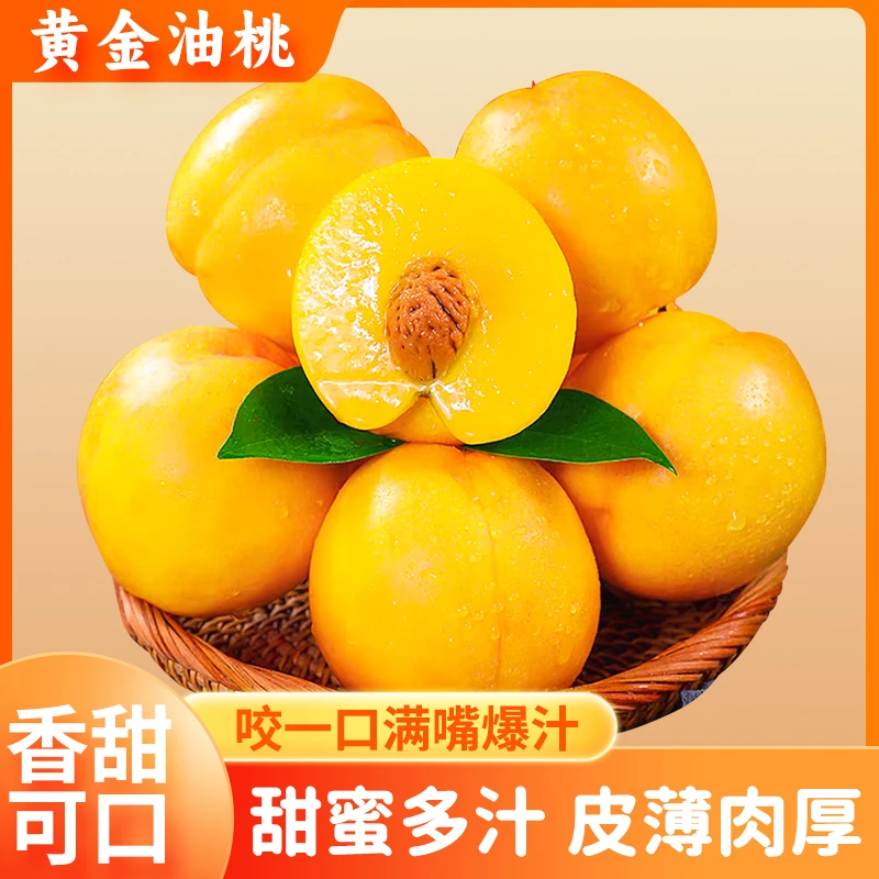 纯甜口黄金油桃应季水果多汁脆甜无毛美味蟠桃蜜桃
