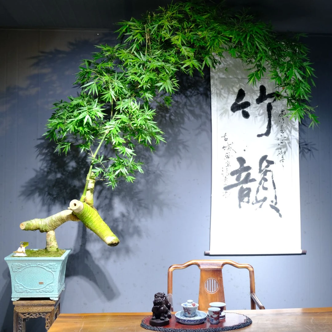 连体怪桩小叶勒竹盆景