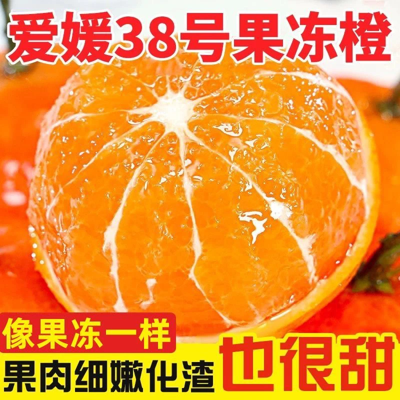 JY四川爱媛38号果冻橙 新鲜采摘 眉山丹棱核心产区2-5斤 风味十足