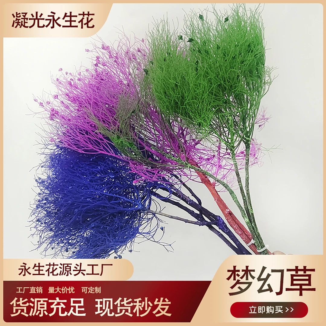 【花落谁家】永生花梦幻草批发干花束手捧花材ins风装软装花艺插花