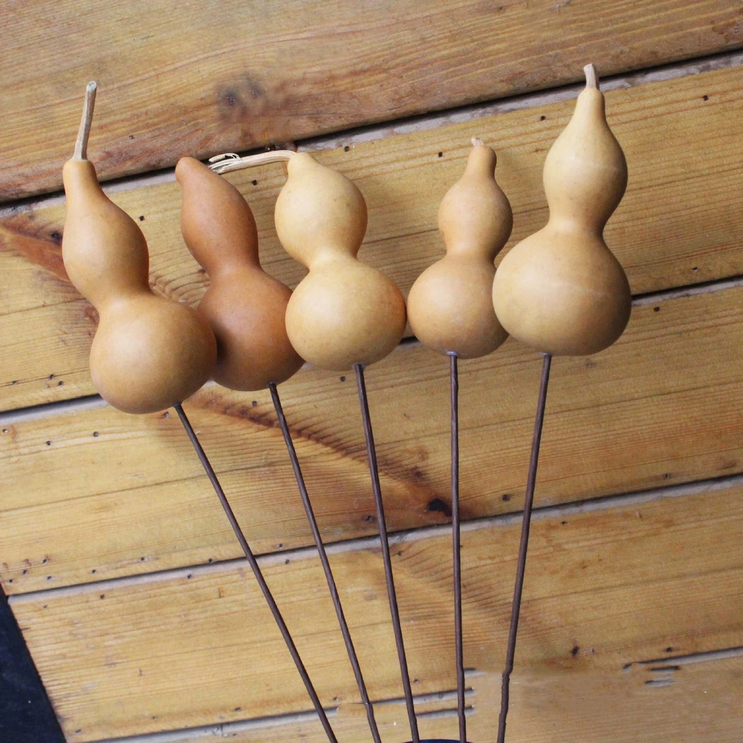 【花落谁家】葫芦干花手工制作喷色葫芦家居摆饰 软装插花拍摄道具