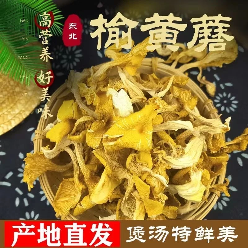 【东北吉林榆黄蘑干】干货东北蘑菇味美鲜香炒菜炖菜好蘑菇