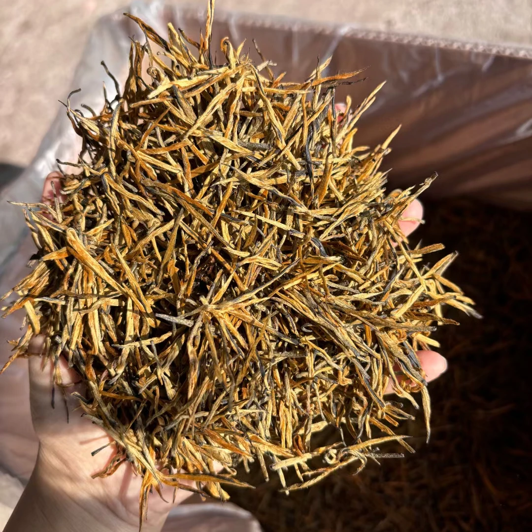 金毫玉针（凤庆滇红茶）