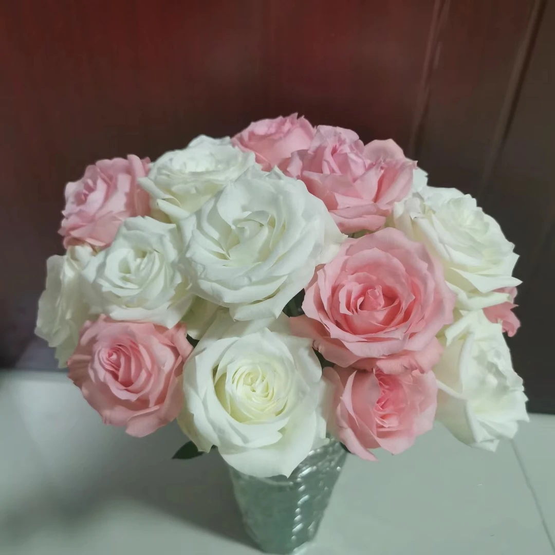 花如家随机鲜花20支 需要醒花 鲜花两单顺丰