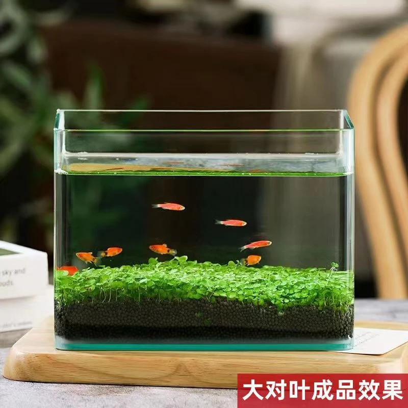 【新疆包邮】水草泥底砂鱼缸造景沙陶粒基肥不粉化亚马逊水草籽水藻