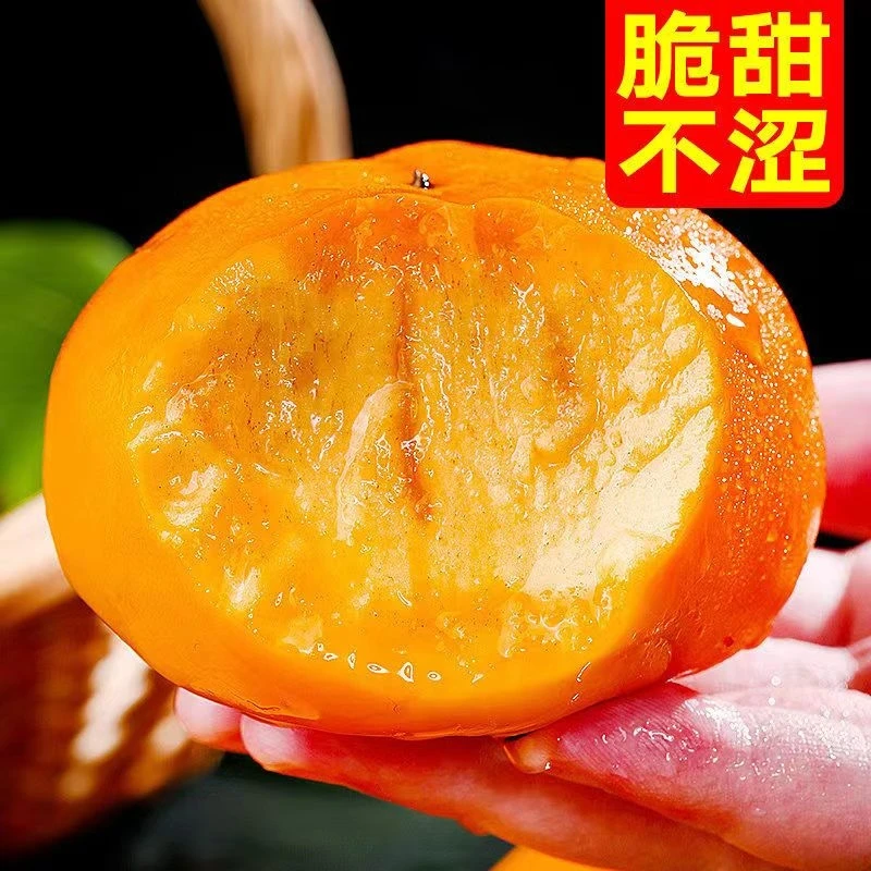 24年新鲜正宗阳丰脆柿巧克力脆柿冰糖心削皮脆柿无籽新鲜香甜产地