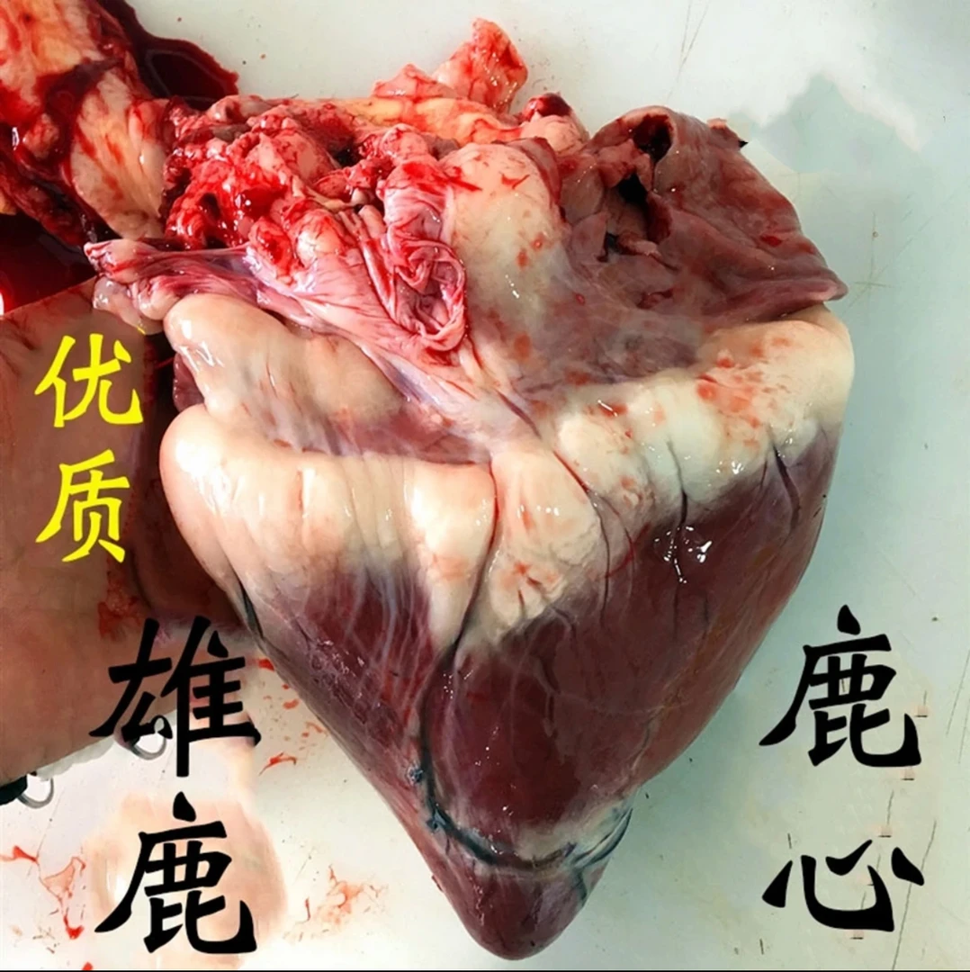 吉林双阳梅花鹿之乡梅花鹿心