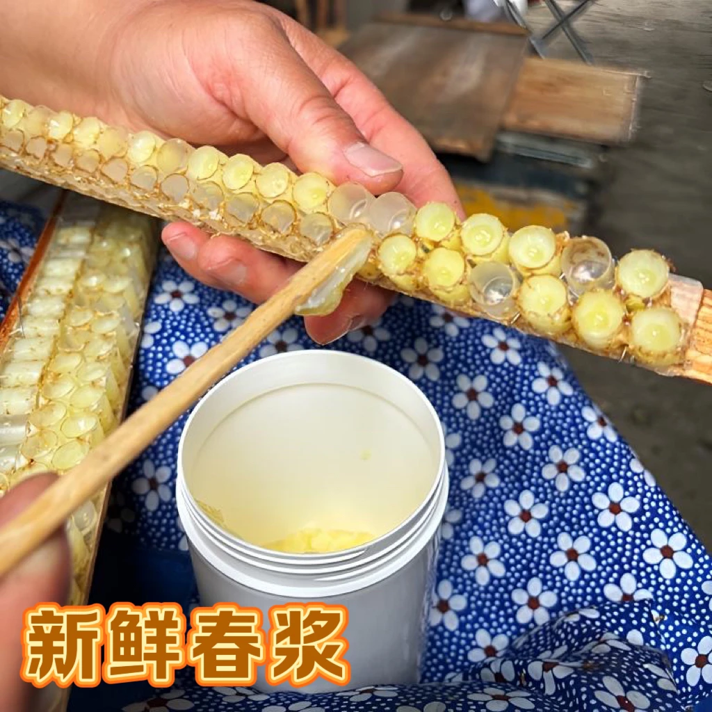 新鲜春浆油菜花蜂王浆农家养蜂自产自销
