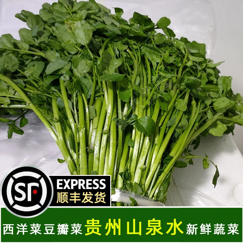 贵州新鲜豆瓣菜广东西洋菜水芥菜农家高海拔山泉水源头冷凉鲜蔬菜