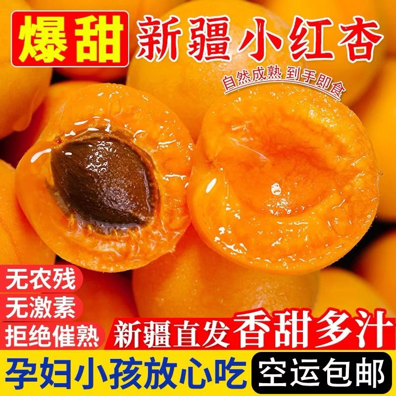 【京东空运】新疆伊犁新鲜正宗小红杏3斤水果新鲜采摘果园直发