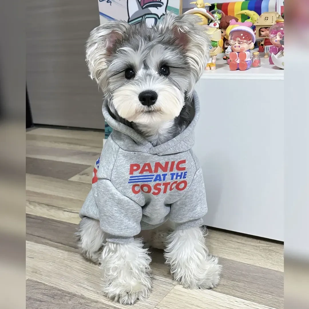 秋冬天宠物猫咪狗狗衣服韩版防掉毛法斗雪纳瑞泰迪加绒保暖卫衣