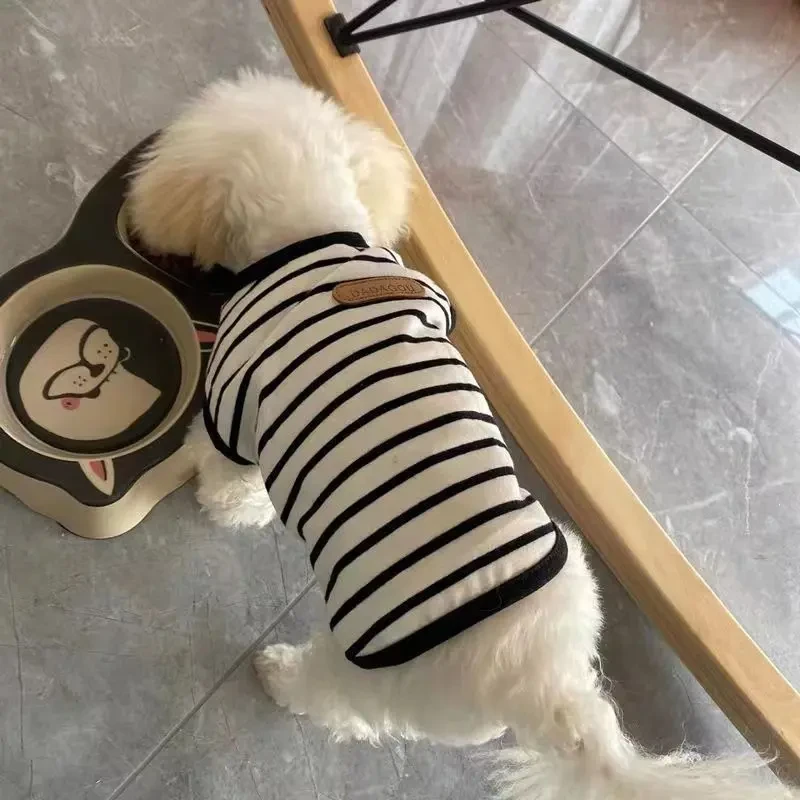 猫咪衣服防掉毛布偶幼猫小奶猫英短无毛猫可爱春夏装狗狗背心无袖