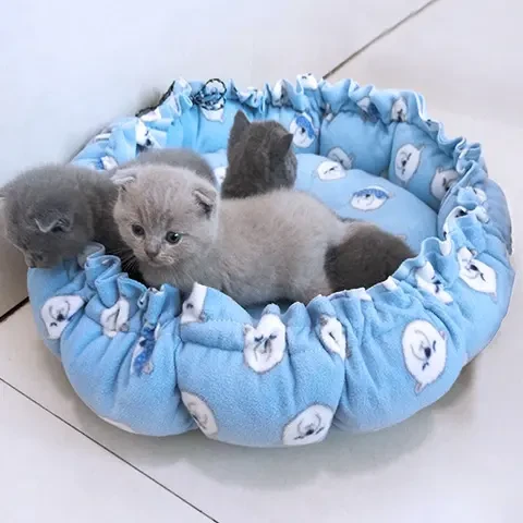 窝泰迪比熊狗狗猫咪宠物窝猫窝xl狗窝垫中大型犬窝南瓜窝垫子两用