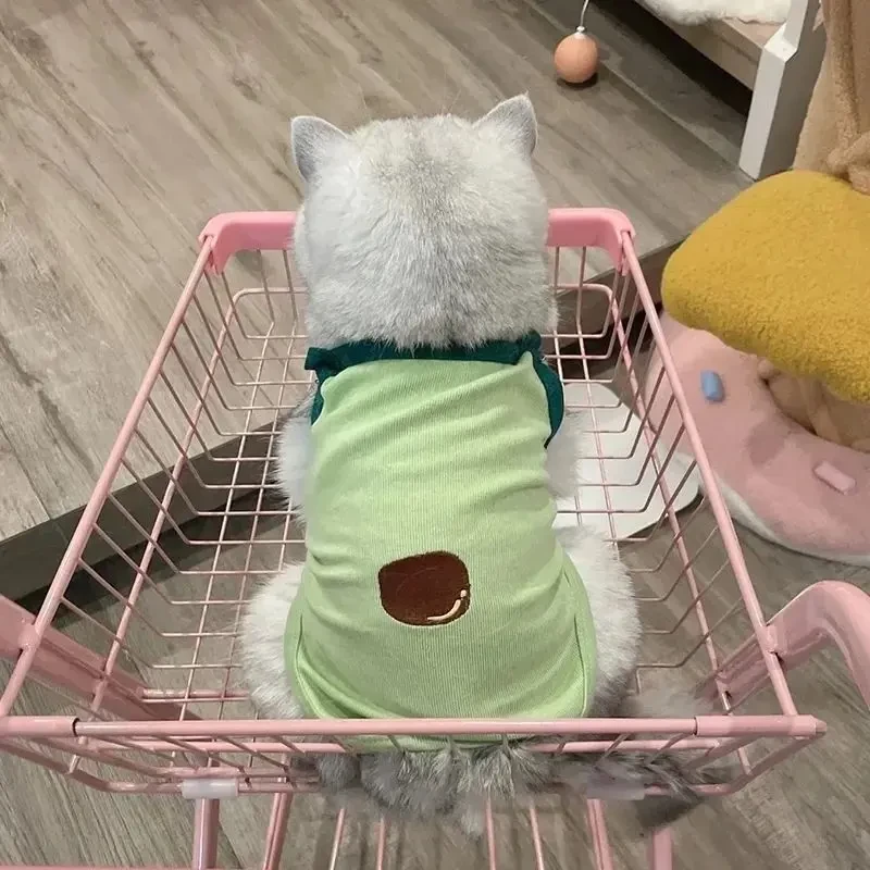 猫咪秋季衣服防掉毛宠物吊带背心夏天薄款幼猫小猫英短蓝猫布偶猫