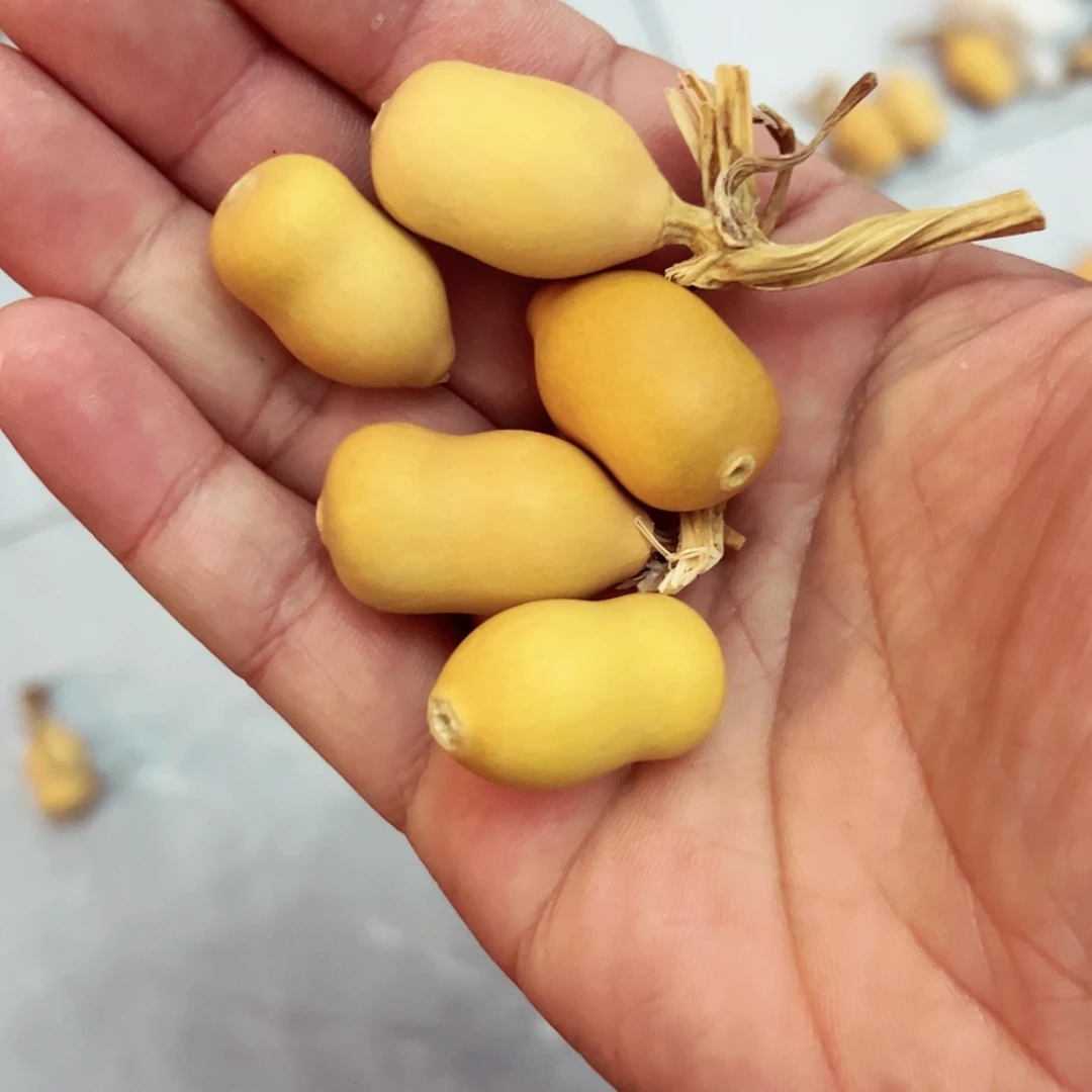 【闪购商品】天然葫芦名***复