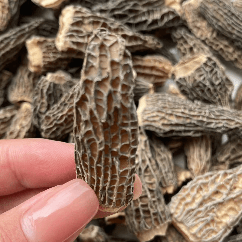 云南高原干货羊肚菌精品头茬羊肚菌煲汤滋补菌菇新货20g40g120g