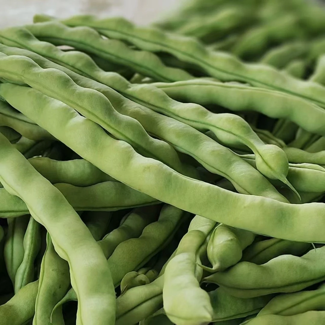 云南四季豆新鲜现摘老品种刀豆豆王豆角2斤3斤5斤包邮