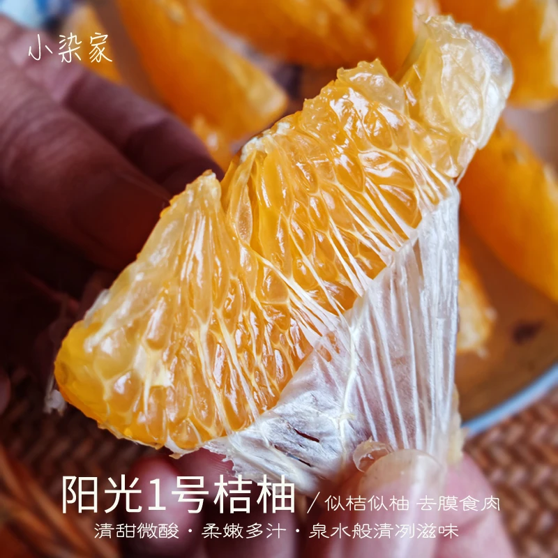阳光1号桔柚 皮薄肉厚新鲜浓郁天然农产品大果原生态送礼产地发货