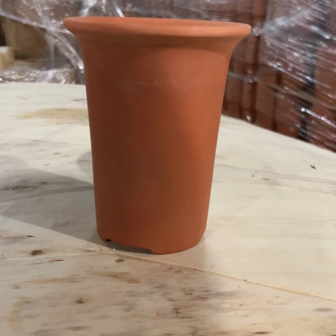 【闪购商品】红陶20CM以下∮****静国兰13口16高1个