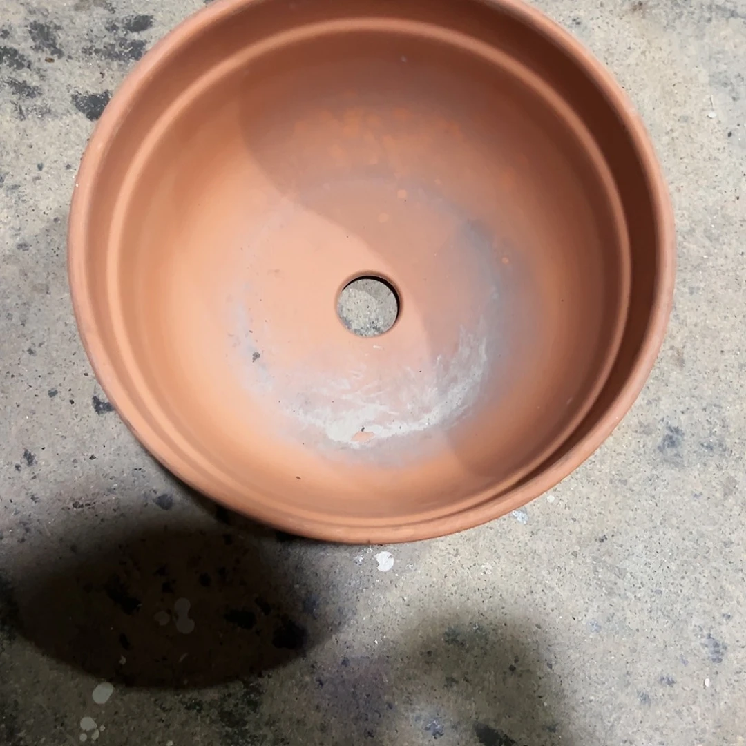 【闪购商品】红陶20CM以下瑕疵泡水猫盆24口12高1个