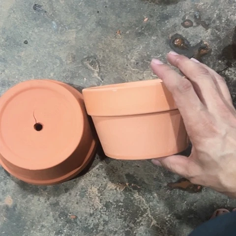 【闪购商品】红陶20CM以下15口9高裂底两只