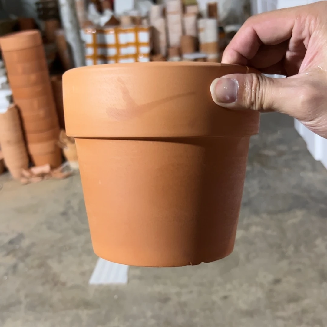 【闪购商品】红陶20CM以下帝罗马16口14高1个