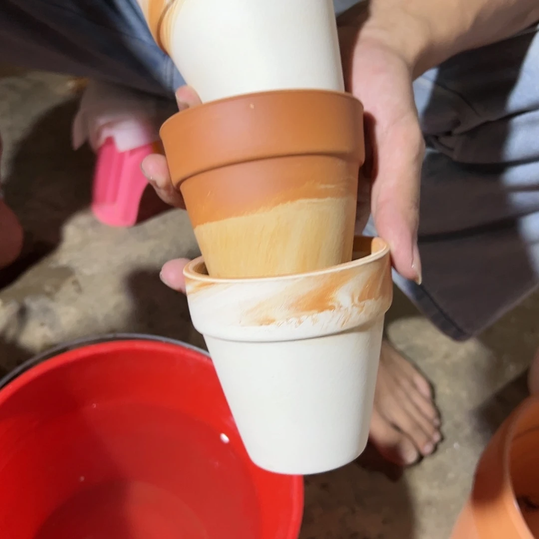 【闪购商品】红陶20CM以下∮****静9口9高三只卡布奇诺